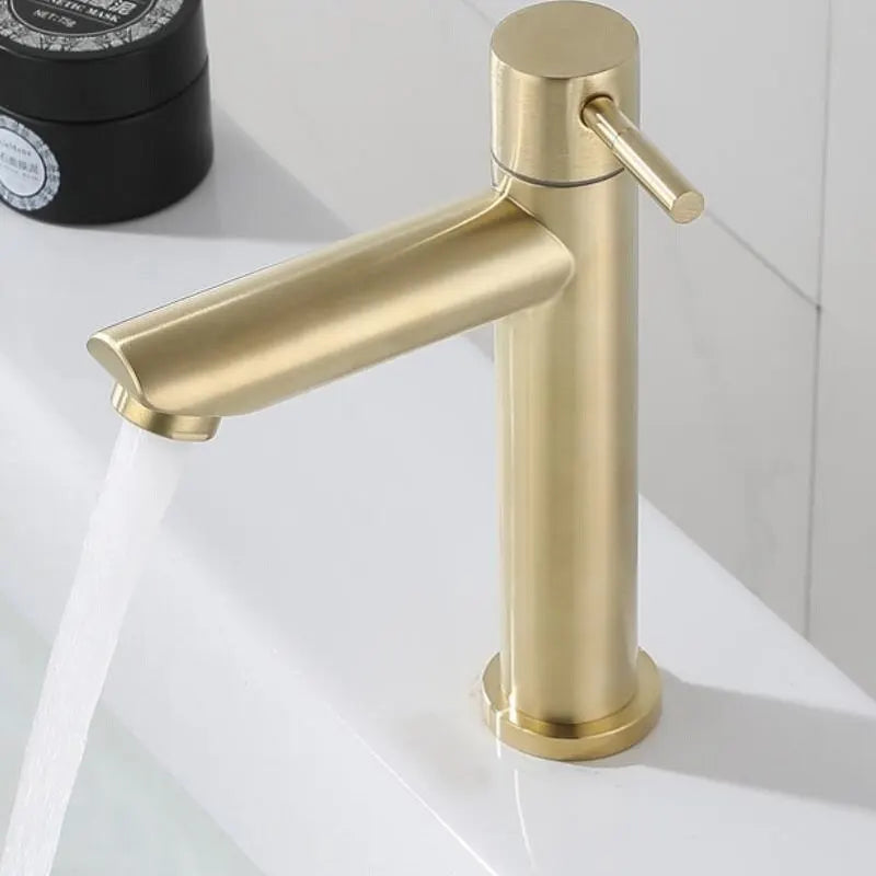 Stainless Single Cold Water