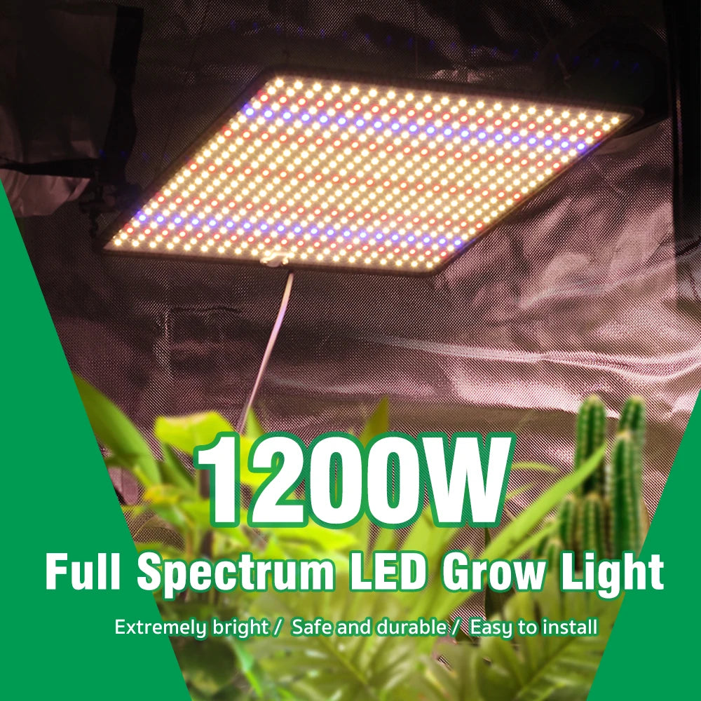 LED Indoor Grow Light 240V 40W