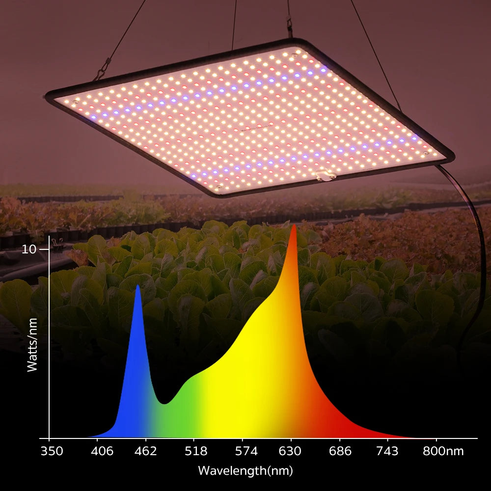 LED Indoor Grow Light 240V 40W