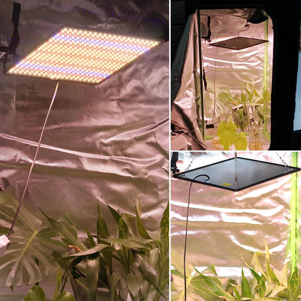 LED Indoor Grow Light 240V 40W